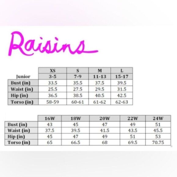 Raisins Miami Pant Pink Floral Cheeky Shirred Bikini Swim Bottoms Size XL - Picture 9 of 9